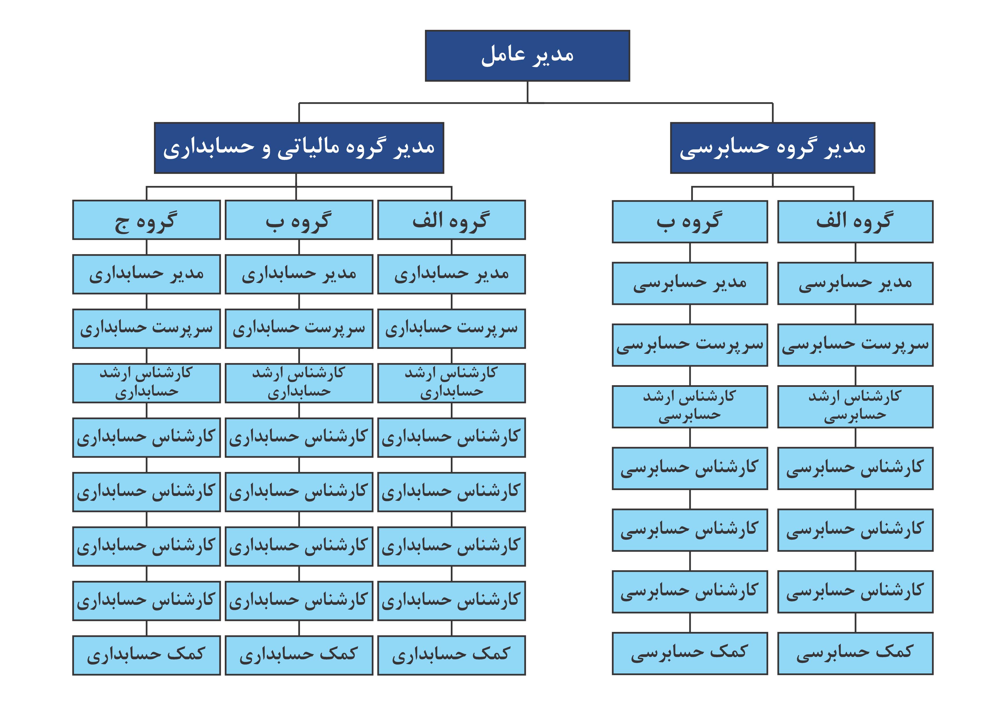 چارت سازمانی